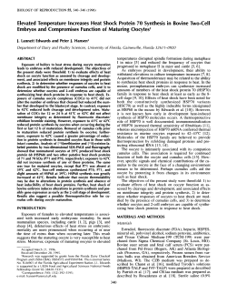 Elevated Temperature Increases Heat Shock Protein 70 Synthesis in