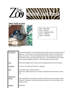 Animal Fact Sheet