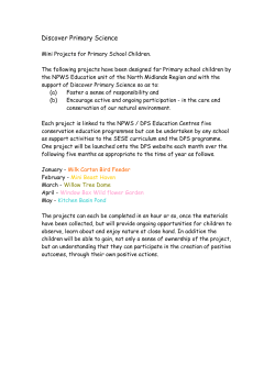 Milk Carton Bird Feeder Project