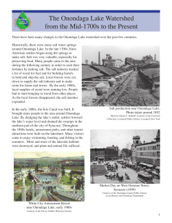 Onondaga Lake Watershed After the Mid 1700s