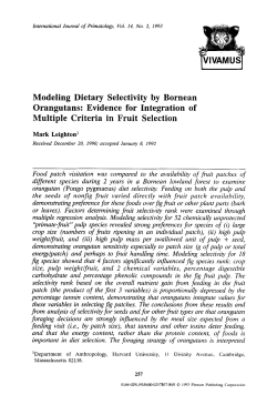 Modeling dietary selectivity by Bornean orangutans: Evidence for