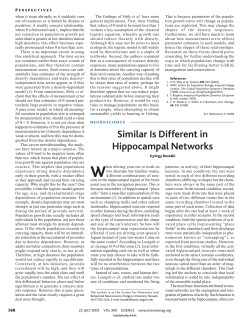 Similar Is Different in Hippocampal Networks