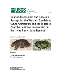 (Spea hammondii) and the Western Pond Turtle