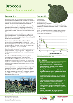 Broccoli - Horticulture Innovation Australia