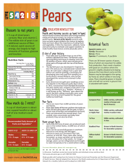 How much do I need? Reasons to eat pears Botanical facts