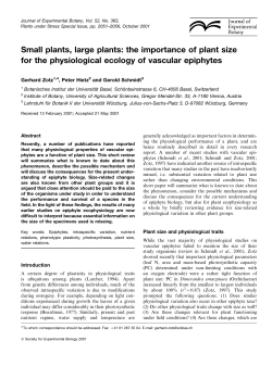 Small plants, large plants: the importance of plant size for the