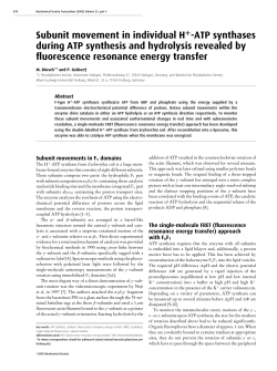 Subunit movement in individual H