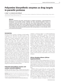 Polyamine biosynthetic enzymes as drug targets in parasitic protozoa