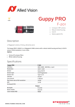 Allied Vision Guppy Pro F-201