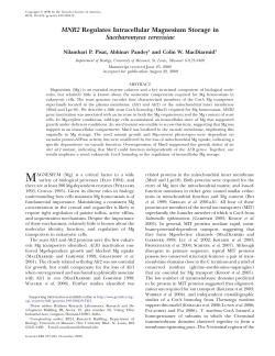 MNR2 Regulates Intracellular Magnesium Storage in