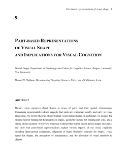 part-based representations of visual shape and implications for