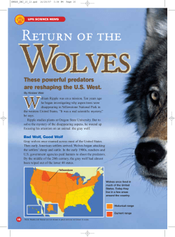 Return of the Wolves. - Oregon State University