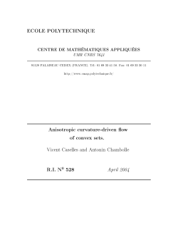 ECOLE POLYTECHNIQUE Anisotropic curvature-driven ow