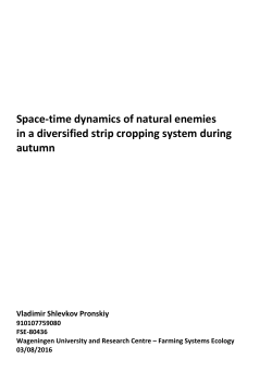 Space-time dynamics of natural enemies in a diversified strip