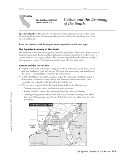 Cotton and the Economy of the South