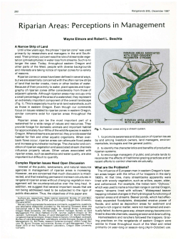 this PDF file - Journals at the University of Arizona