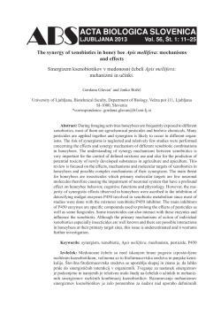 The synergy of xenobiotics in honey bee Apis mellifera