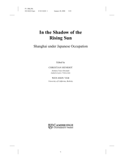 In the Shadow of the Rising Sun - Assets