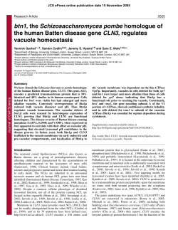 btn1, the Schizosaccharomyces pombe homologue of the human