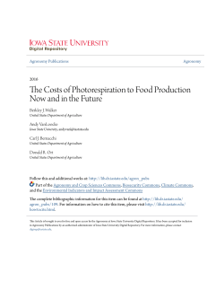 The Costs of Photorespiration to Food Production Now and in the