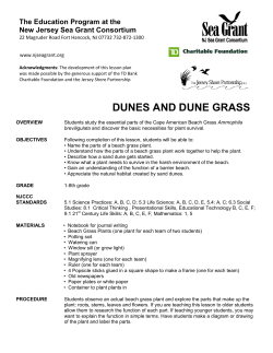 Dunes and Dune Grass - New Jersey Sea Grant Consortium