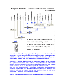 Kingdom Animalia - Evolution of Form and Function