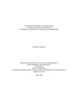THE MIXED ECONOMY OF CHILD CARE: AN INSTITUTIONAL