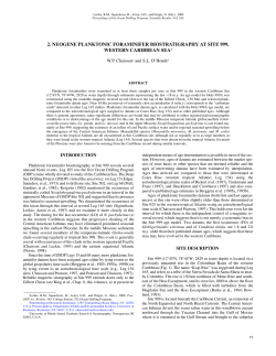 2. neogene planktonic foraminifer biostratigraphy at site 999