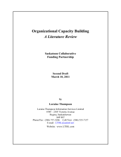 Organizational Capacity Building Literature Review