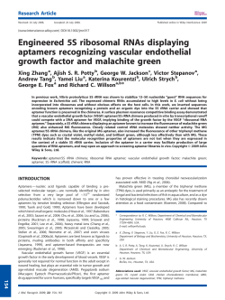 Engineered 5S ribosomal RNAs displaying aptamers recognizing