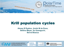 Alexey Ryabov: Population cycles of Antarctic krill