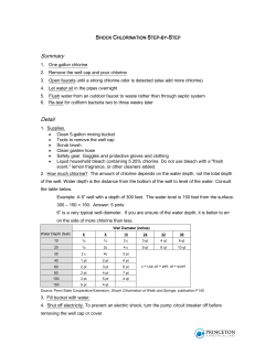 Shock Chlorination Step-by-Step Summary