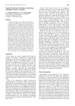Female silk and mate attraction in a burrowing wolf