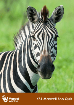 KS1 Marwell Zoo Quiz