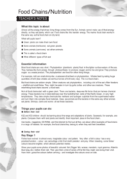 Food Chains/Nutrition