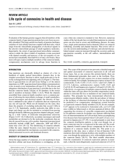 Life cycle of connexins in health and disease