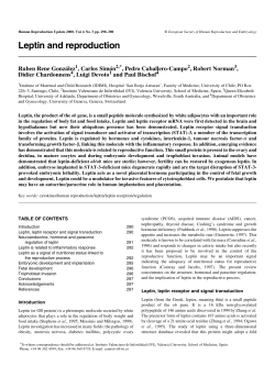 Leptin and reproduction