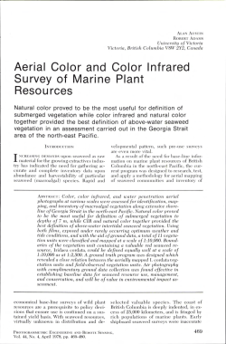 Aerial Color and Color Infrared Survey of Marine Plant