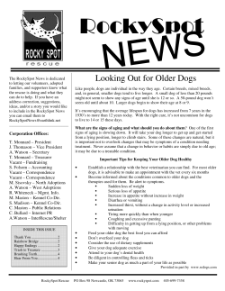 RSN 2004 Q1 - RockySpot Rescue