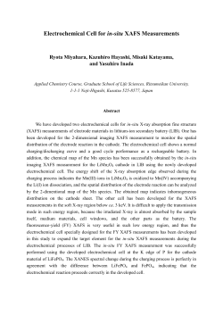 Electrochemical Cell for in