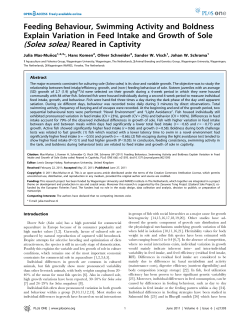 Feeding Behaviour, Swimming Activity and Boldness Explain