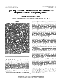 Light Regulation of b-Aminolevulinic Acid