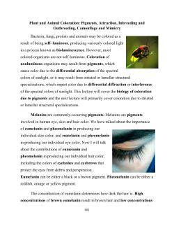 Plant and Animal Coloration - Labs