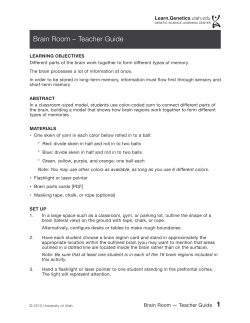 Brain Room &ndash; Teacher Guide