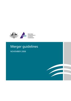Merger guidelines November 2008