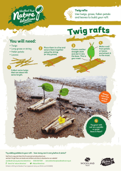 Build a twig raft – Nature Detectives