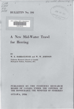 DFO 1ll~ll~f ii/1~11ru&middot;