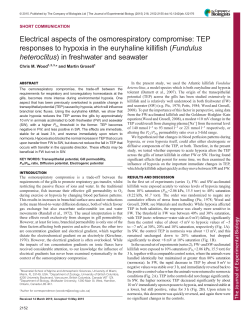 Electrical aspects of the osmorespiratory compromise: TEP