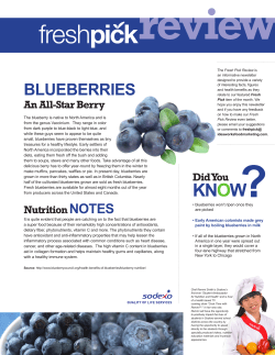 BLUEBERRIES