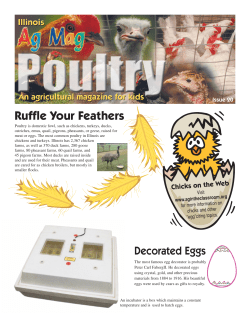 Ruffle Your Feathers - Illinois Ag in the Classroom